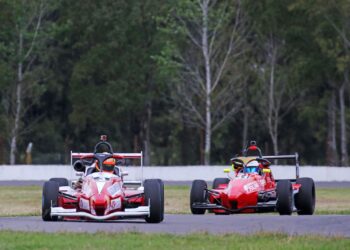 🔝PELLANDINO REFERENTE DE LOS ENSAYOS